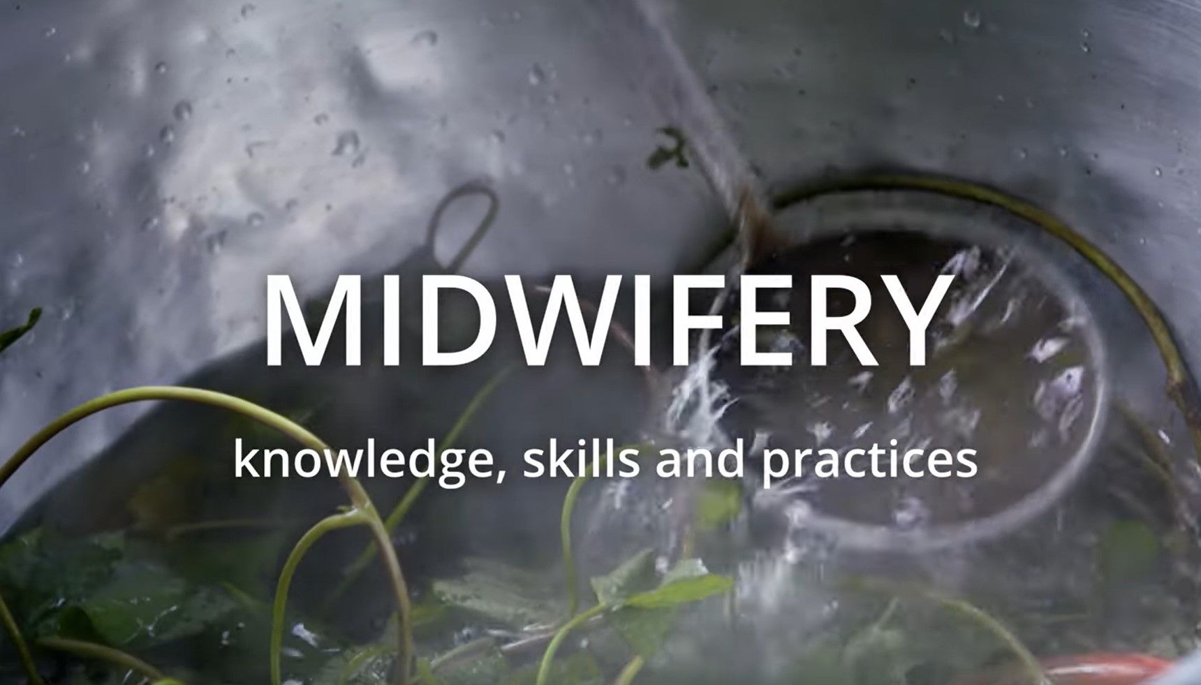 Video Still Midwifery